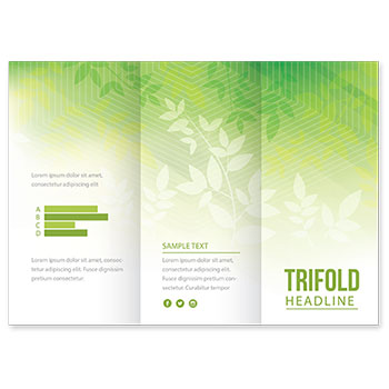 Full Color Brochures