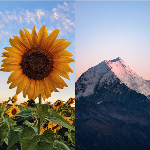 Photographic Images Not Suitable for Embroidery