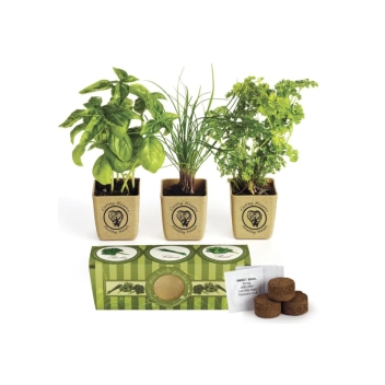 Growpot Eco-planter Herb 3-pack