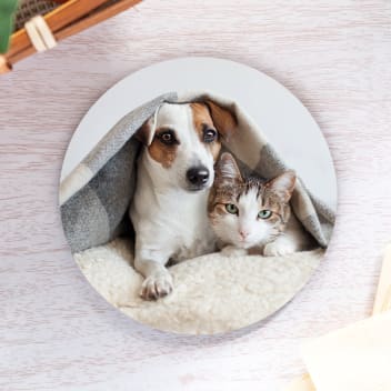 3.75 Inch Round Cork Back Photo Coasters