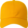 University Gold - Cap