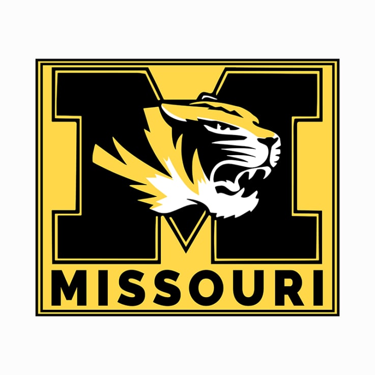 Missouri Stock Lapel Pins - Missouri 
