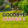 Goodbye Cancer Yard Letters - Cancer