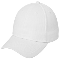 Port Authority Uniforming Twill Cap.