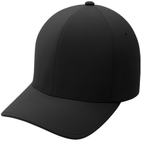 Port Authority Flexfit Delta Cap.