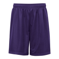 Badger Men's Mini Mesh 9'' Inseam Shorts - 7239