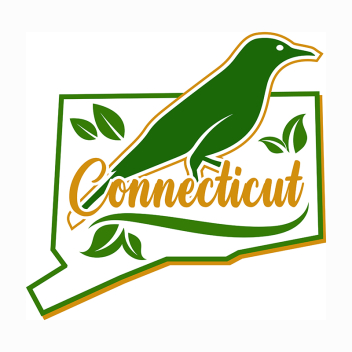 Connecticut Stock Lapel Pins