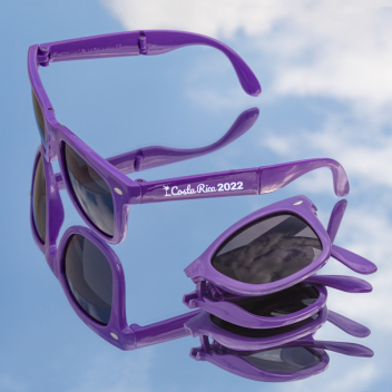 Custom Foldable Malibu Sunglasses