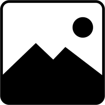 Minnesota Stock Lapel Pins