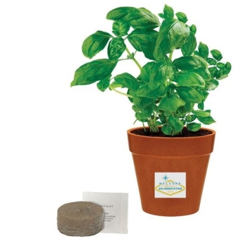 Mini Bamboo Blossom Kit