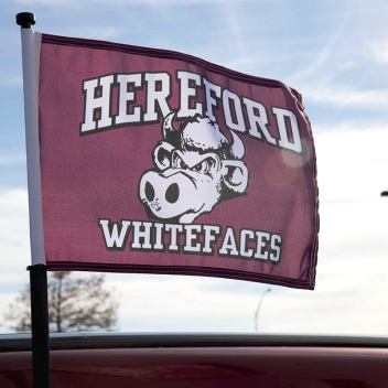 11" X 15" 1-ply Full Color Car Flags