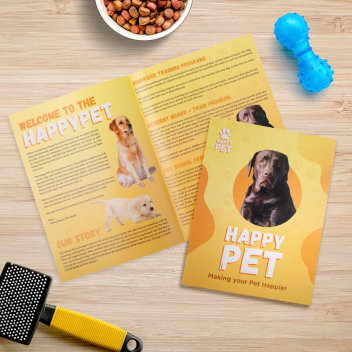 11" X 17" Brochures