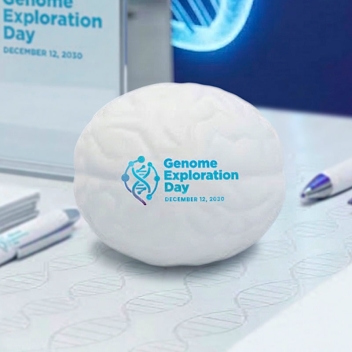 Custom Brain Stress Balls
