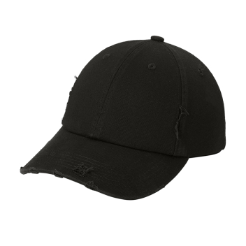 District Distressed Cap.