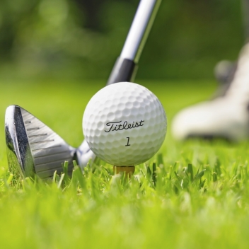 Custom Titleist Pro V1 Golf Balls