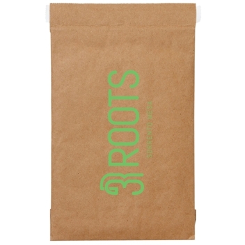6 X 10 Inch Natural Kraft Padded Mailers