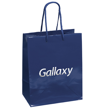 7.75 X 9.75 Inch Crystal Gloss Paper Bags