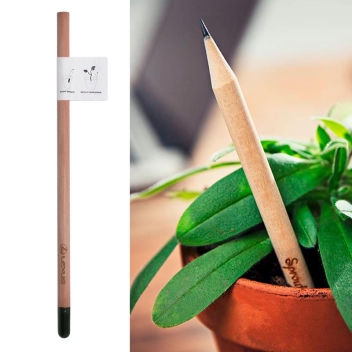 Custom Plantable Sprout Pencils