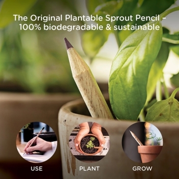 Custom Sprout Plantable Pencils - Graphite
