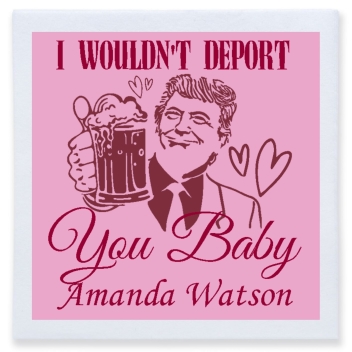 I Wouldn't Deport You Baby Amanda Sterb Full Color 3ply Premium Beverage Napkins Style 169474