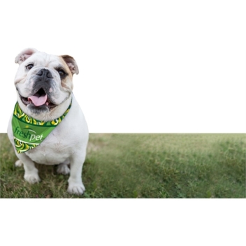 Full Color Dog Bandannas