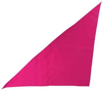 Large Triangle Bandana