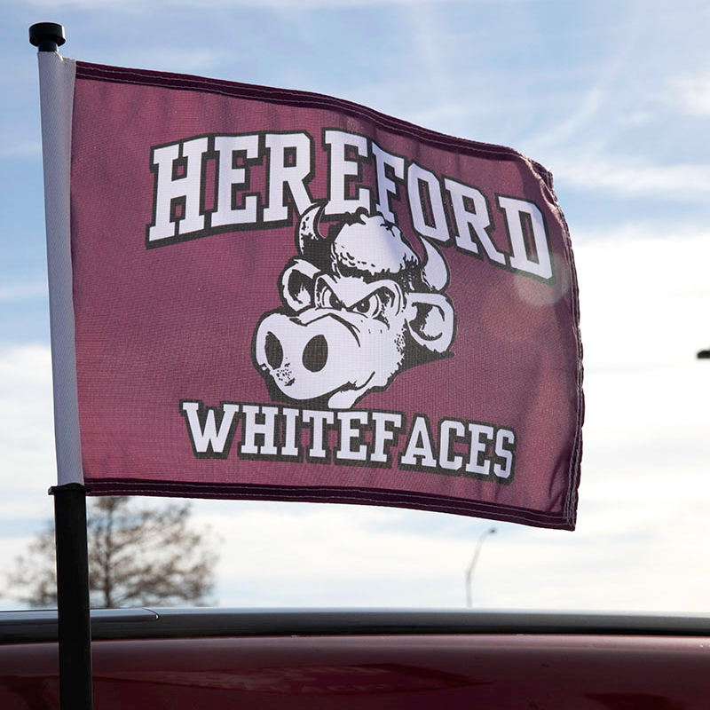 11" X 15" 1-Ply Full Color Car Flags