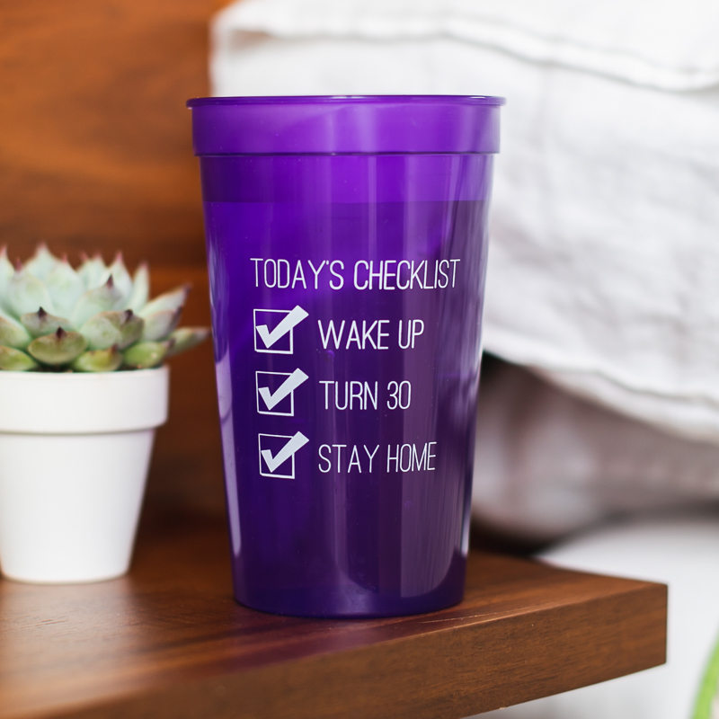 22oz Translucent Stadium Cups