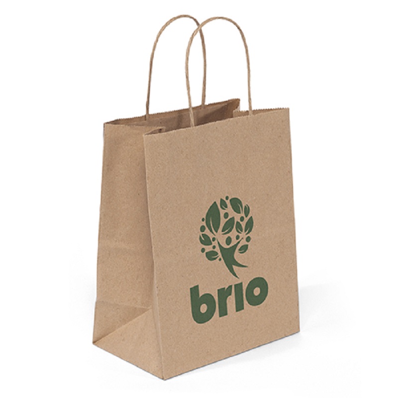 7.75 X 9.75 Inch Eco Shopper Mini Paper Gift Bags Paper Bags