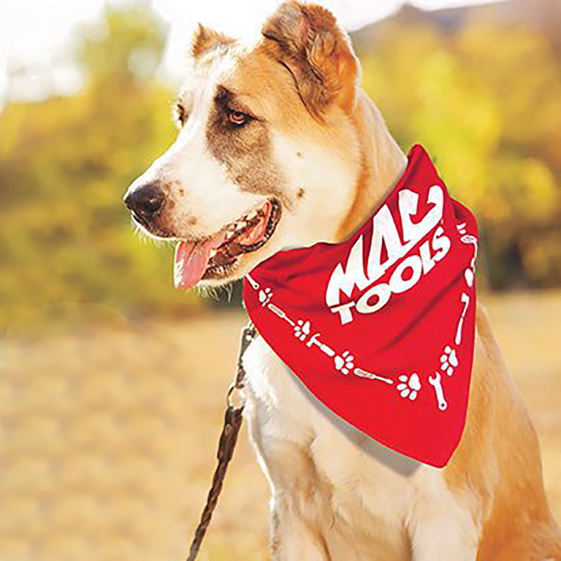 Custom Print Pet Triangle 22 X 22 X 29 Inch Large Bandannas