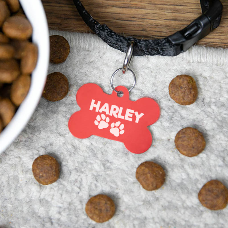Pet Tags