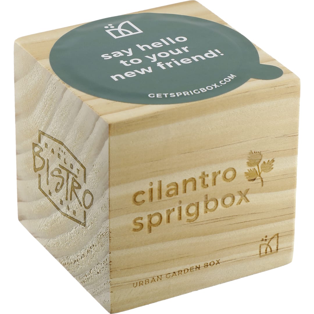 Sprigbox Sprigbox Cilantro Grow Kit