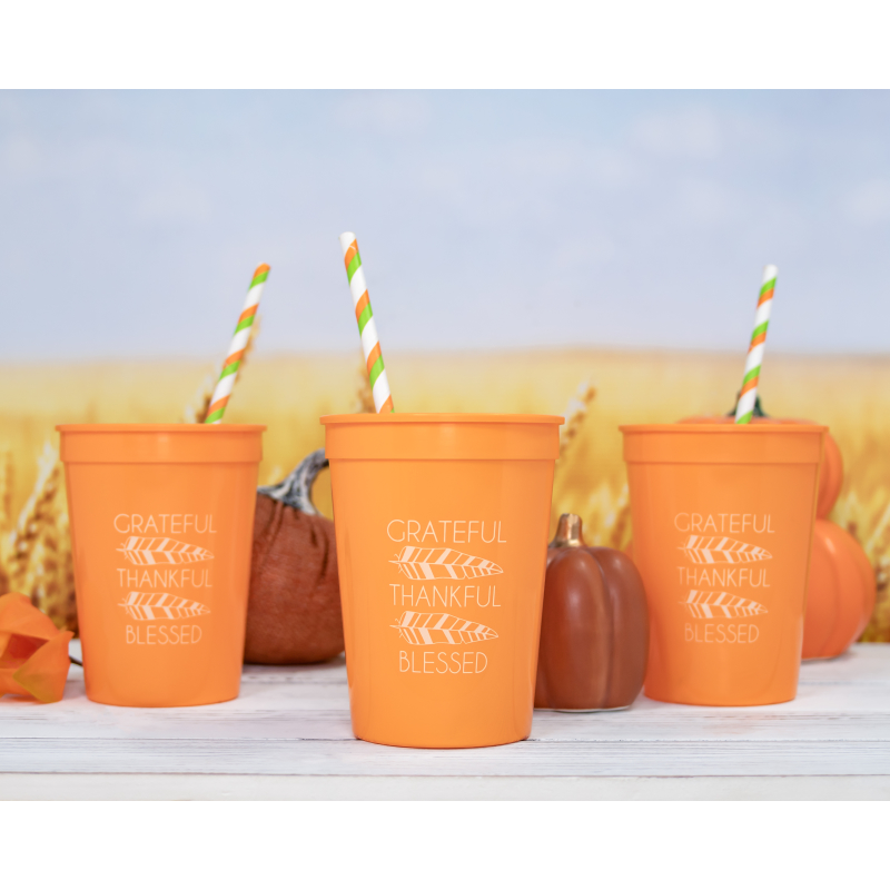 Thanksgiving Fundraiser or Community Event