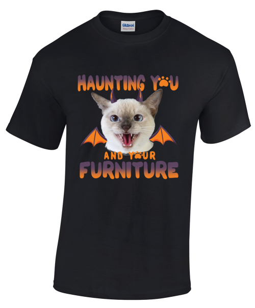 Cat Haunting Your Furniture Halloween