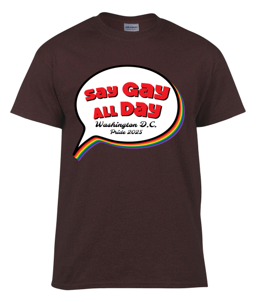 Pride Month Say Gay All Day Rainbow Pride Flag